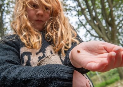 Forest School Summer Embers Outdoor Learning
