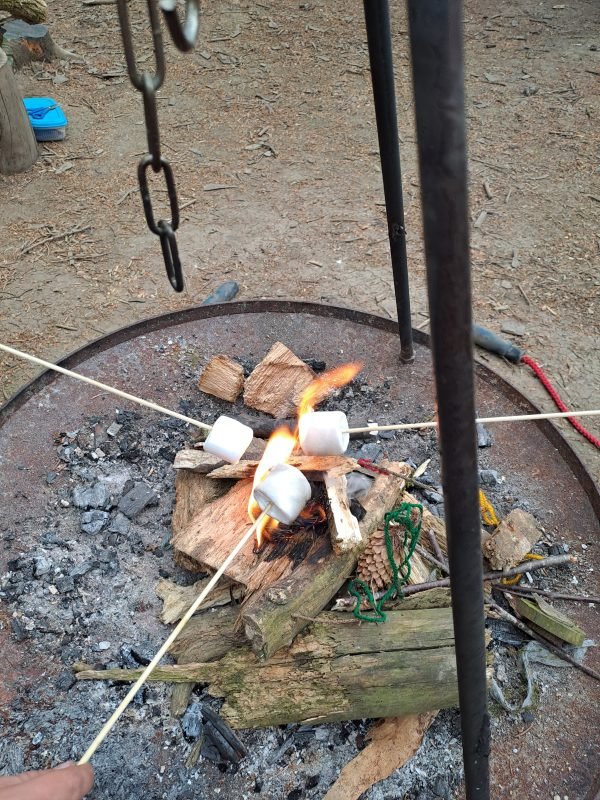 Summer Forest Fun Activity Days - Image 9