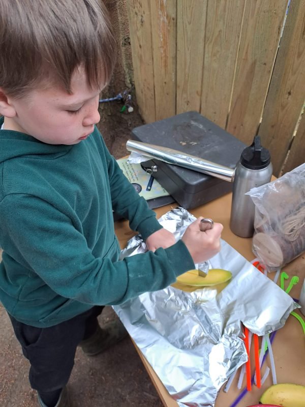 Summer Forest Fun Activity Days - Image 7