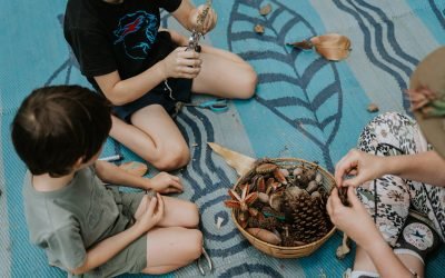 The Vital Role of Loose Parts Play in Forest Schools